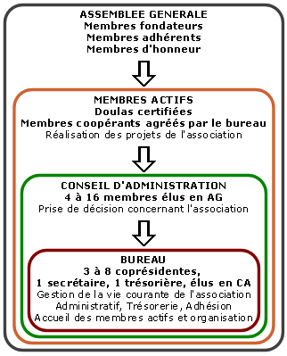 Organisation de l'association Doulas de France